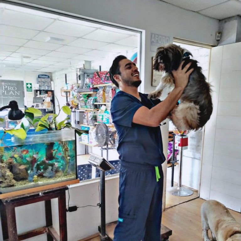 doc y perro 1